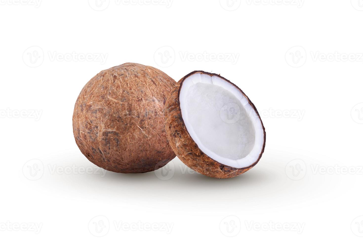 coconut isolated on a white background. photo