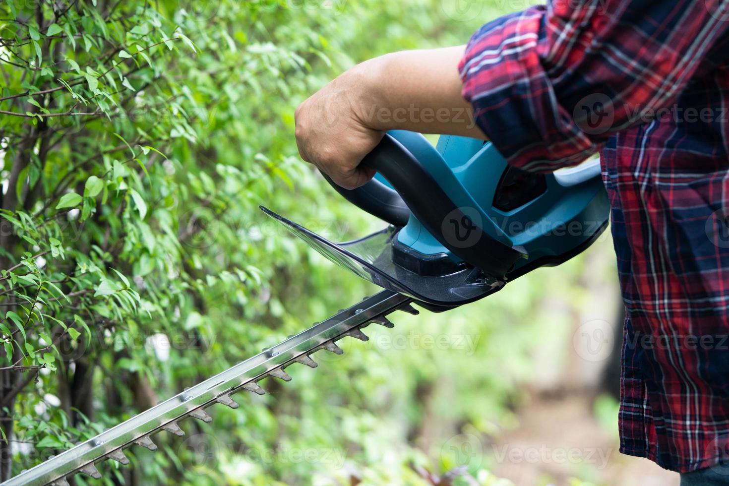 Gardener holding electric hedge trimmer to cut the treetop in garden. photo