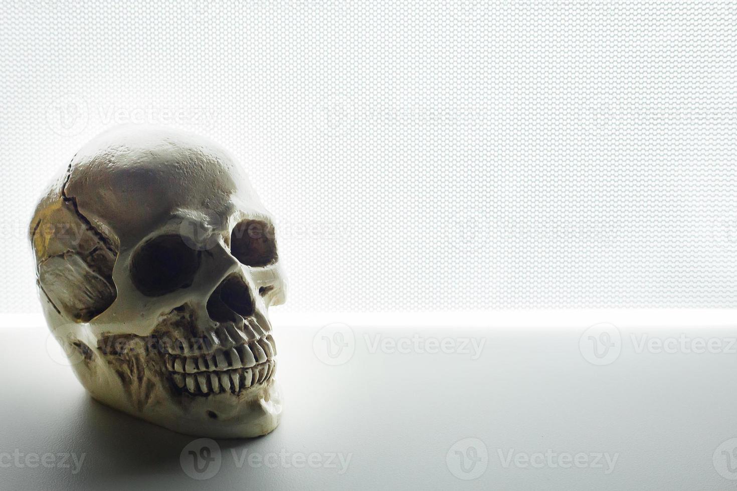 skull close up on glow light abstract  background . photo