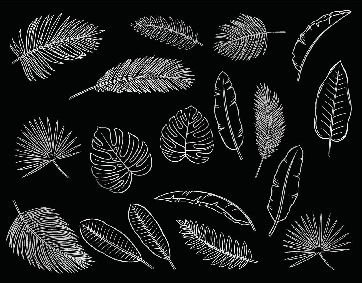 silver tropical leaves isolate on black background vector