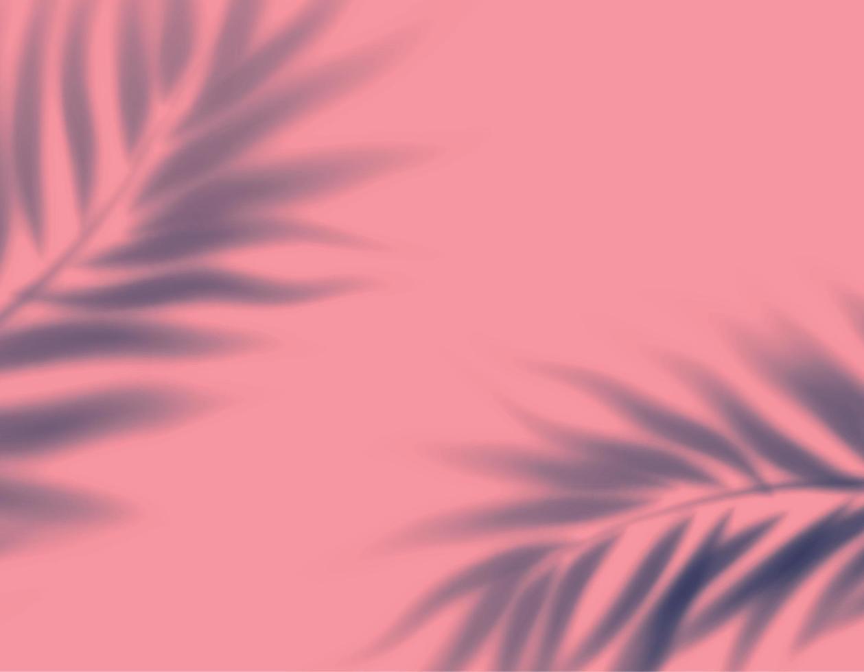 realistic transparent shadow from leaf palm tree pink background vector