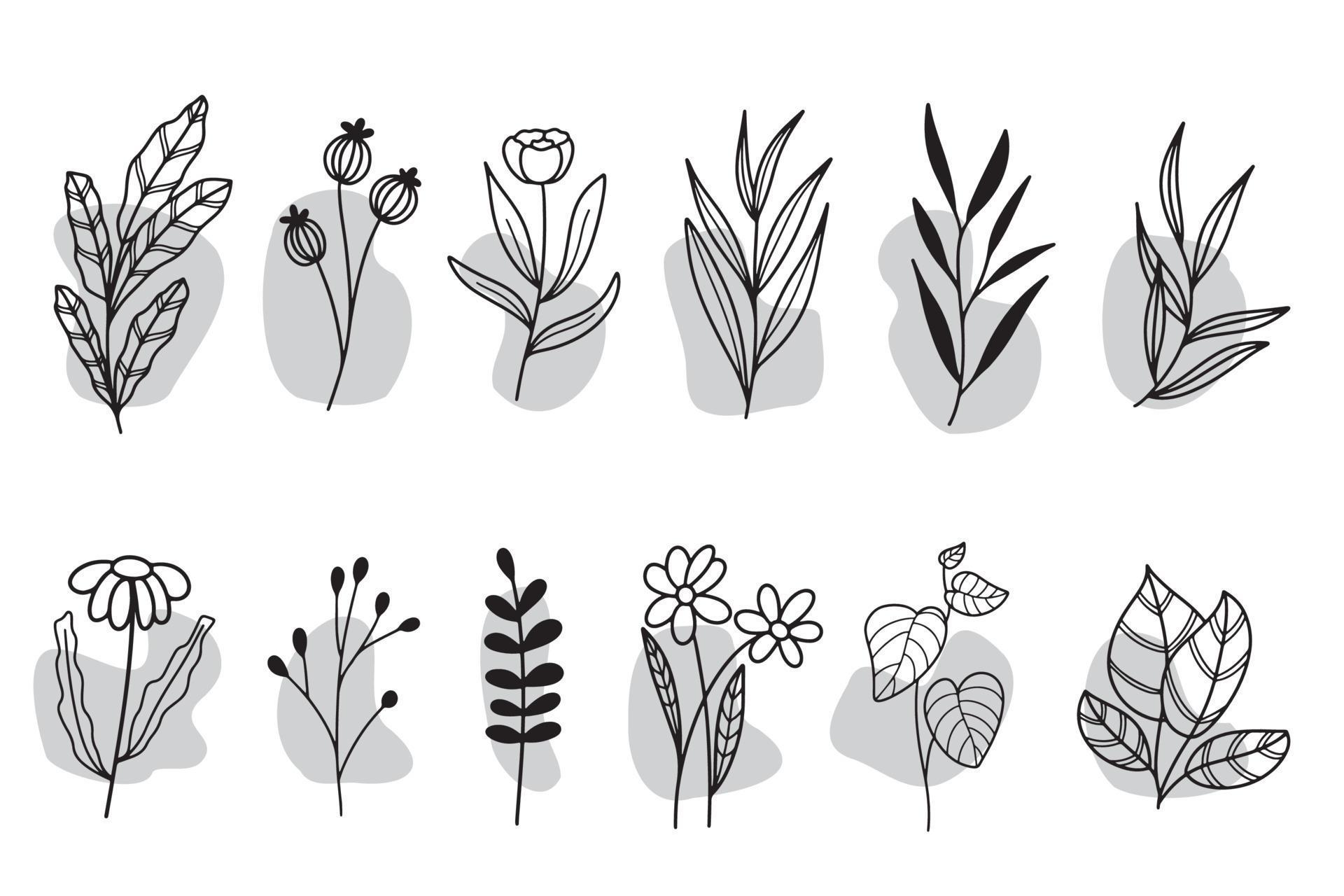 Set of lineart floral and leaves isolated clipart 10658985 Vector Art