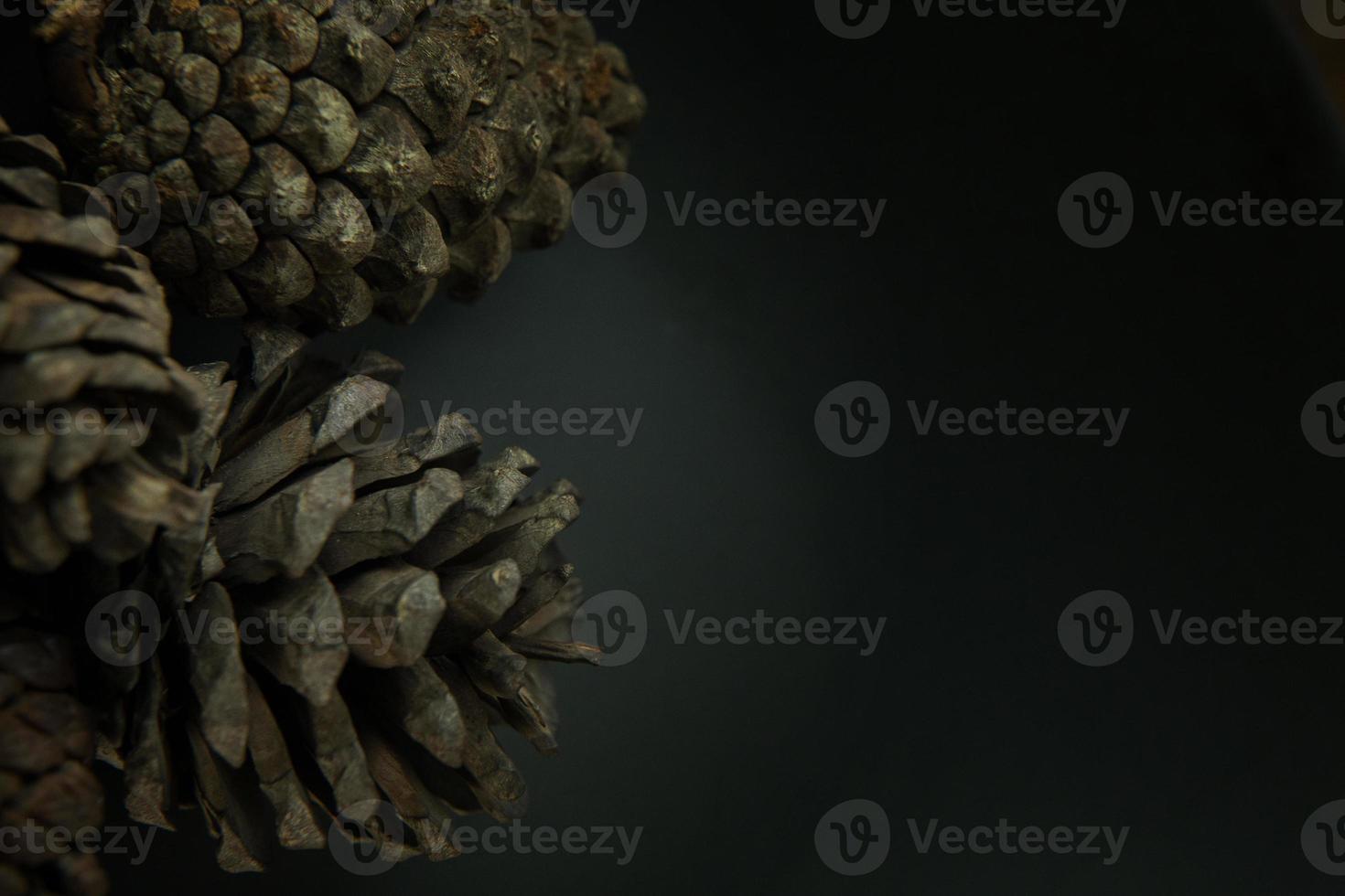 Pine cones on black image background. photo