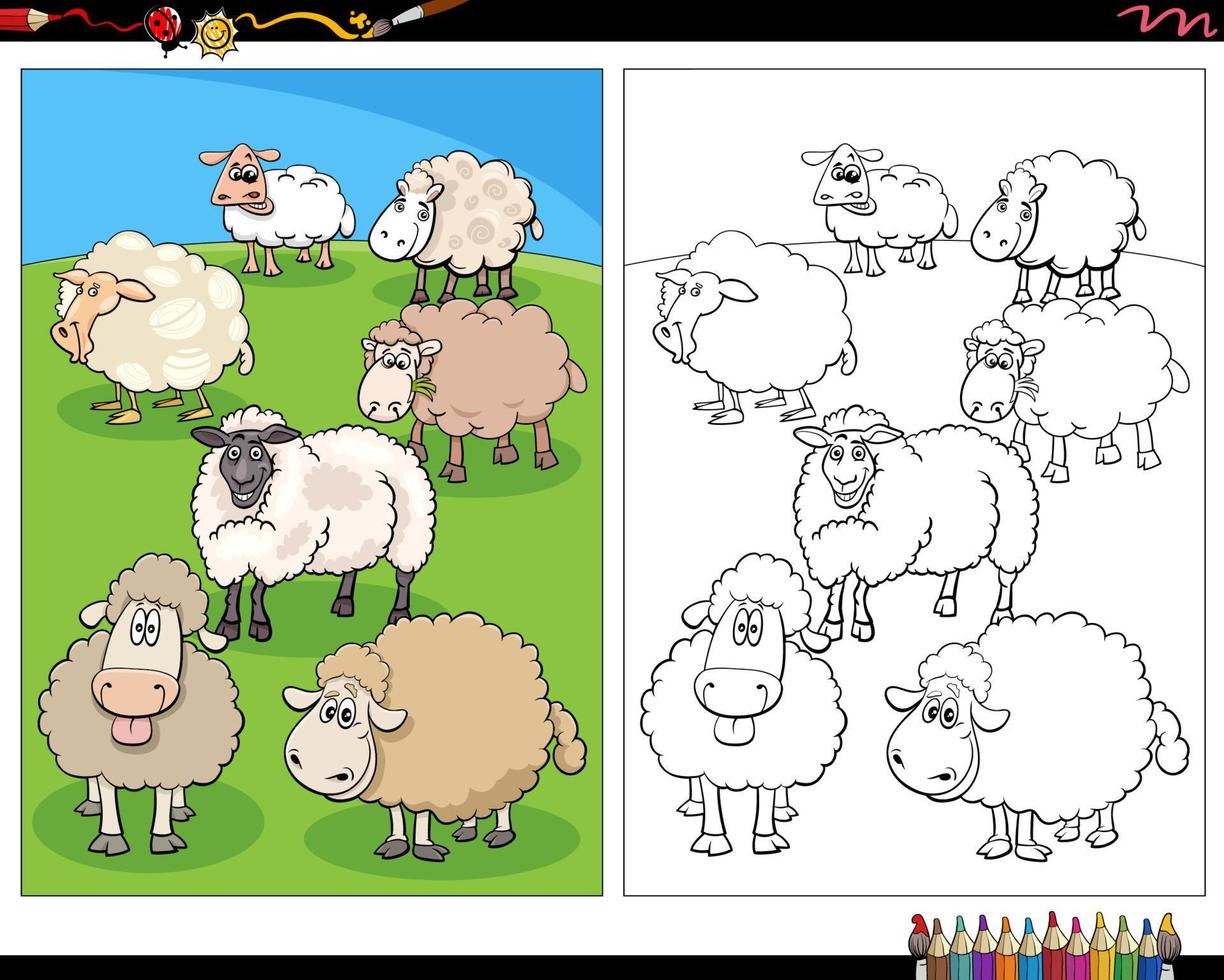 Página para colorear de personajes de animales de granja de ovejas de dibujos animados vector
