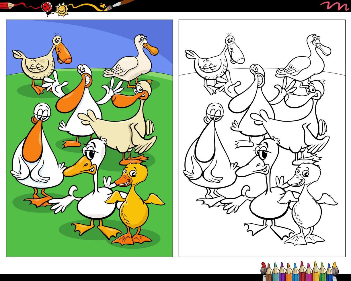 dibujos animados patos pájaros animales de granja personajes página para colorear vector