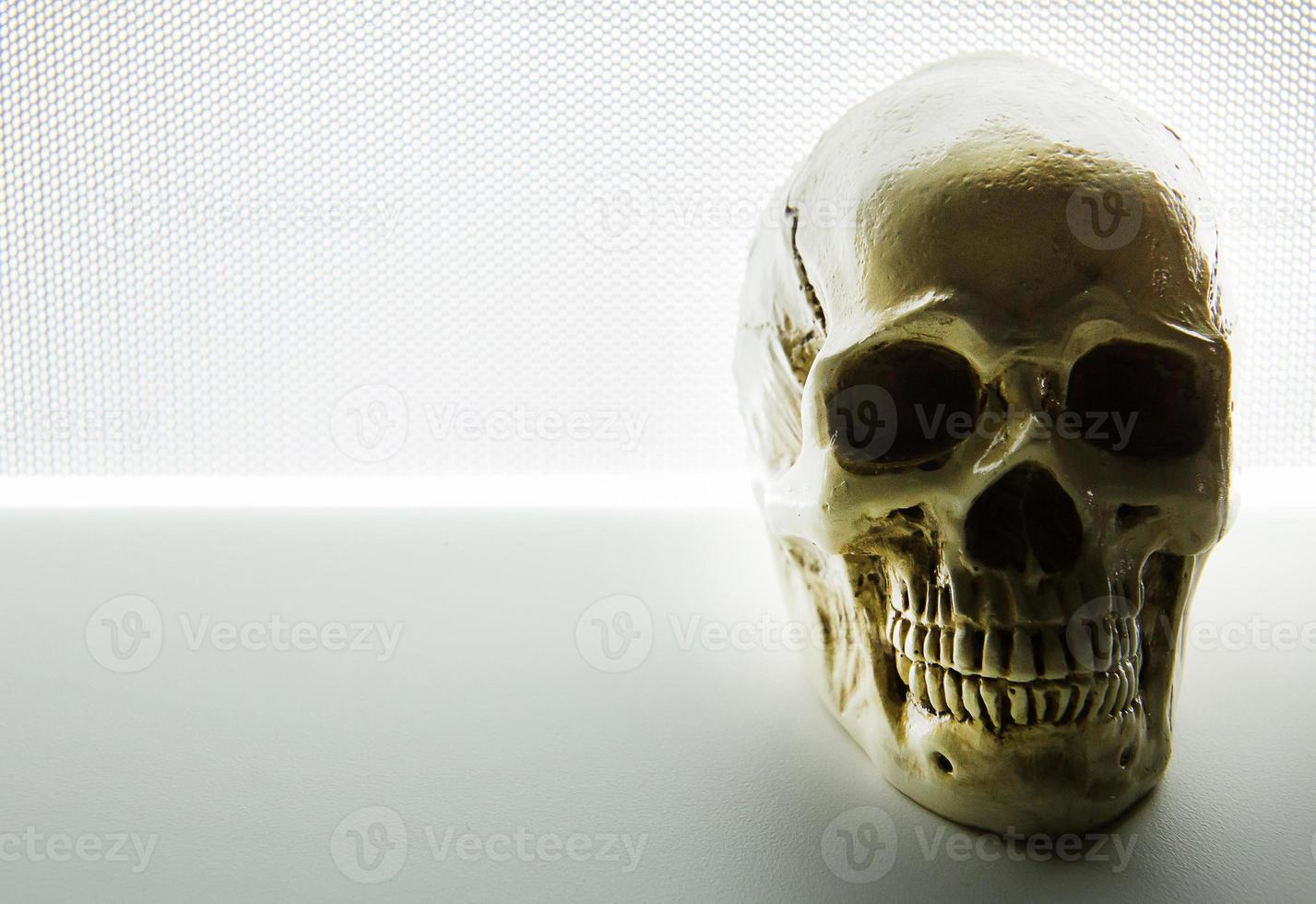 skull close up on glow light abstract  background . photo