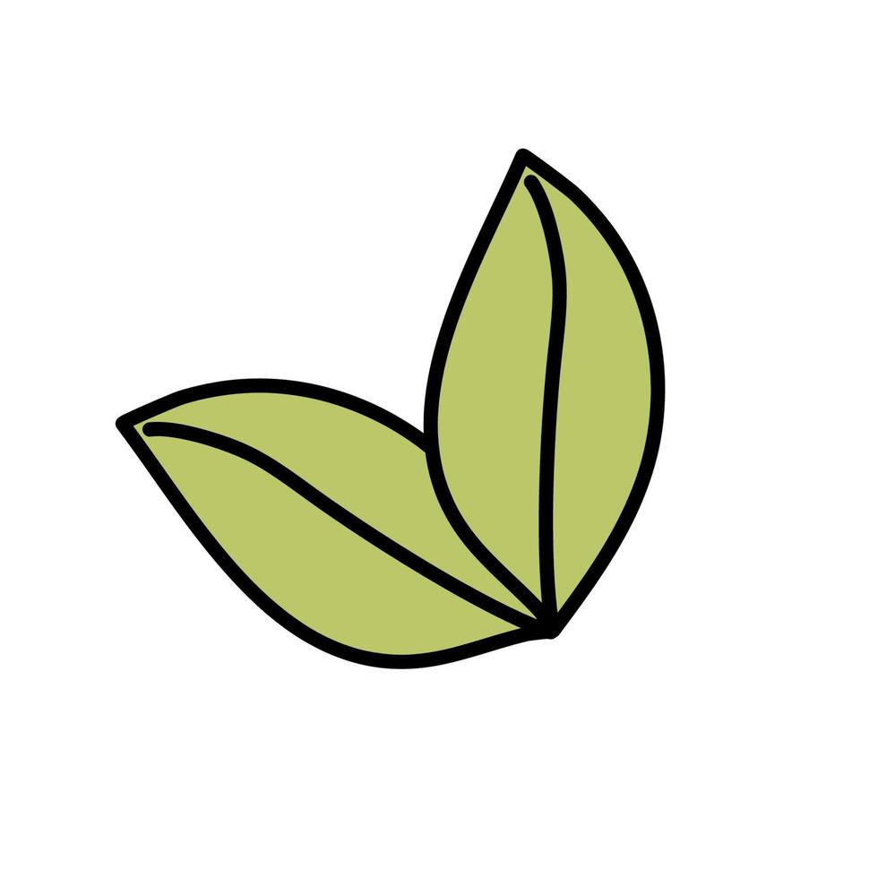 Two leaves in the style of a doodle on a white background. Vector isolated image for notebook or clothing design