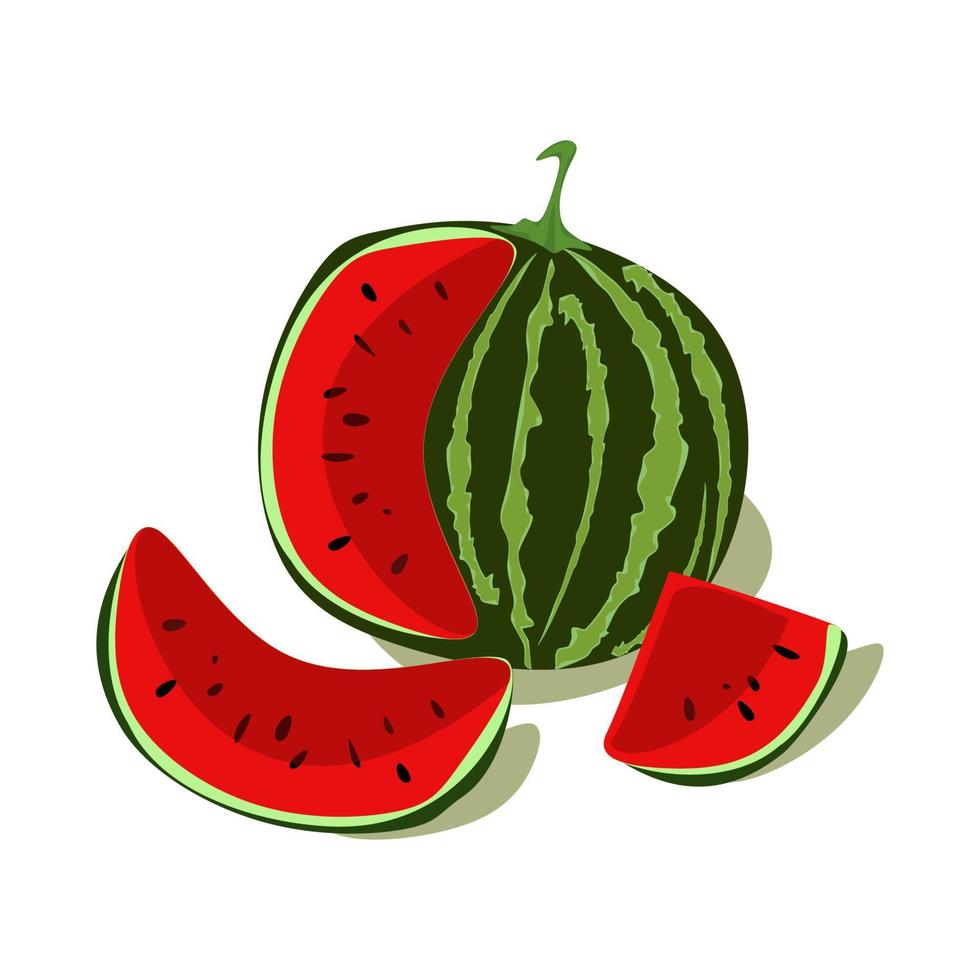 Watermelon and juicy watermelon slice vector illustration in flat design isolated on white background.