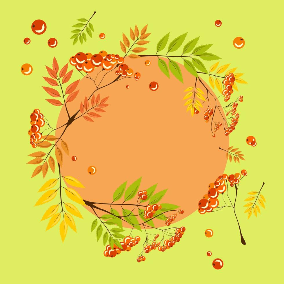 Red rowan berries bunch with orange autumn leaves, vector realistic illustration isolated clipart set with circle frame