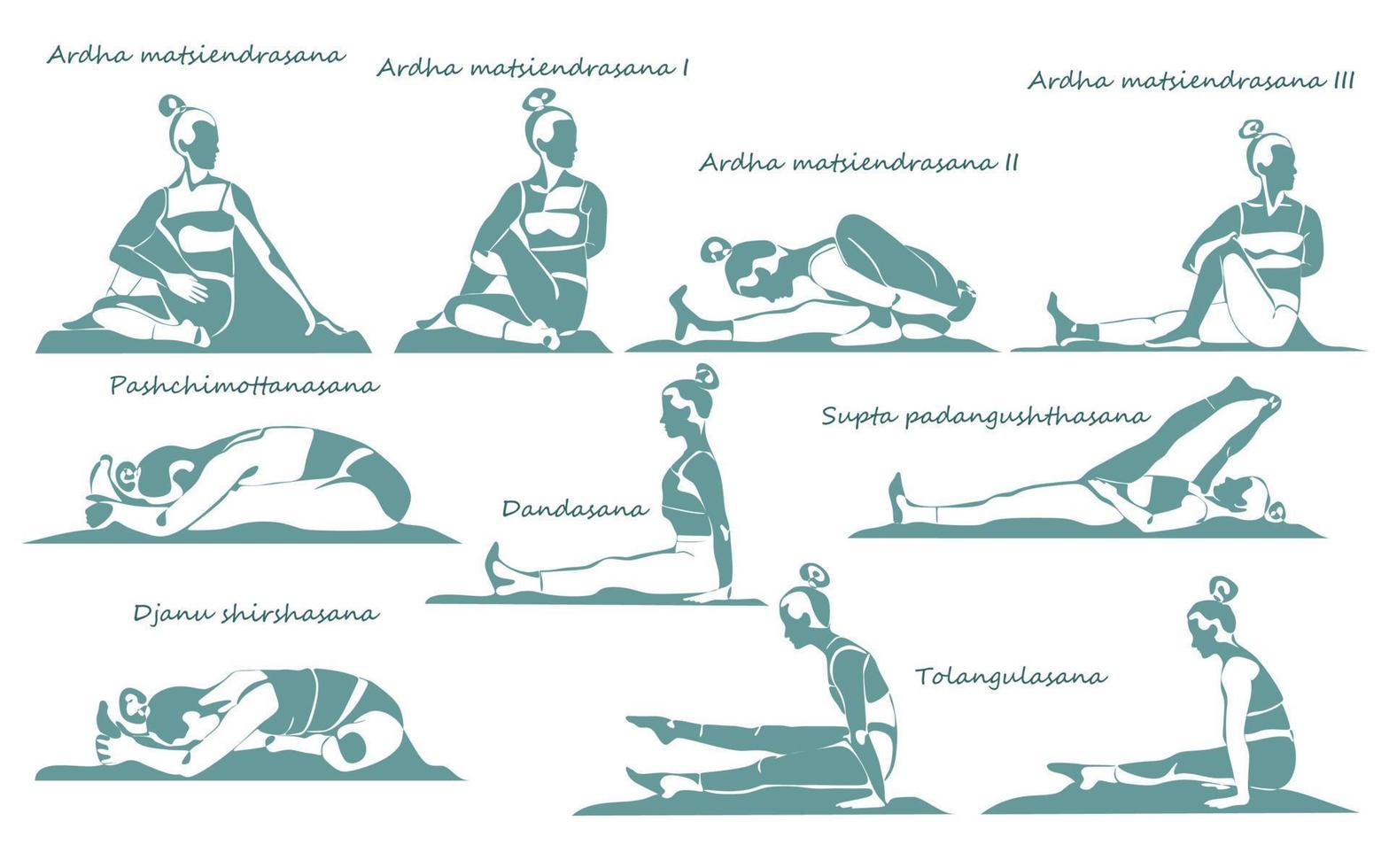 Set of slim athletic young woman doing yoga and fitness. Healthy lifestyle. Collection of female siluets demonstrating different yoga positions isolated on white background vector