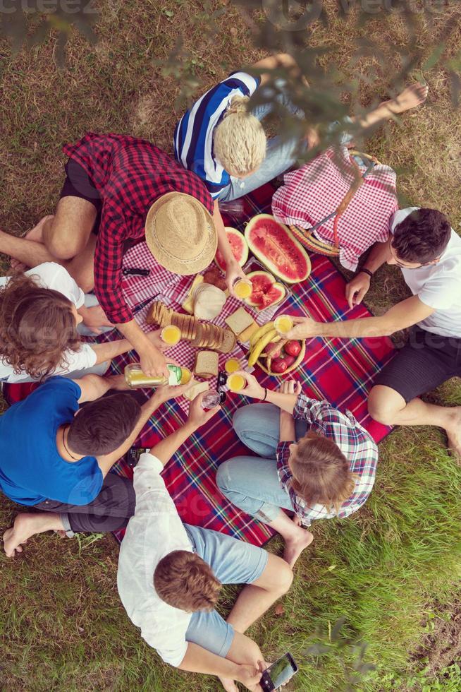 top view of group friends enjoying picnic time photo