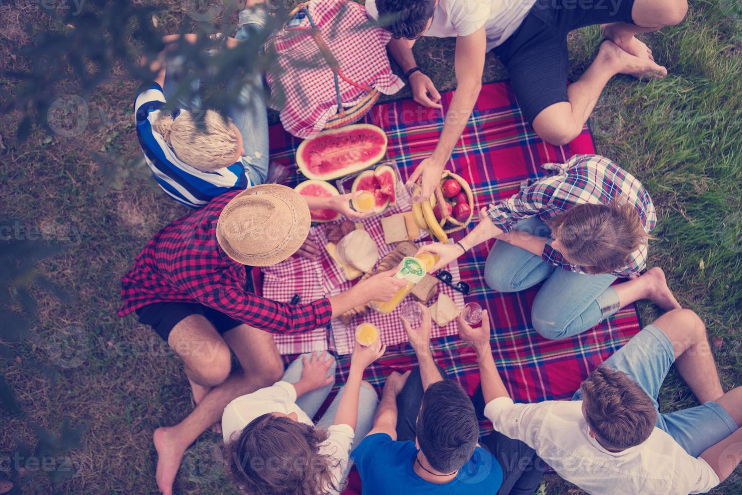 top view of group friends enjoying picnic time photo