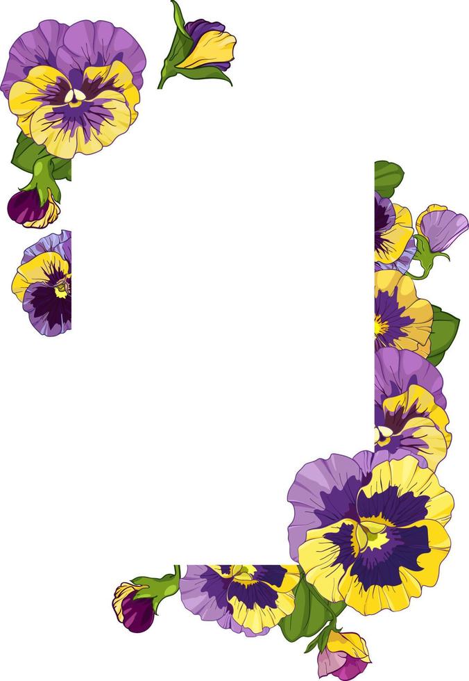 square frame with pansy flowers, yellow and purple flowers green leaves ornament , vector illustration