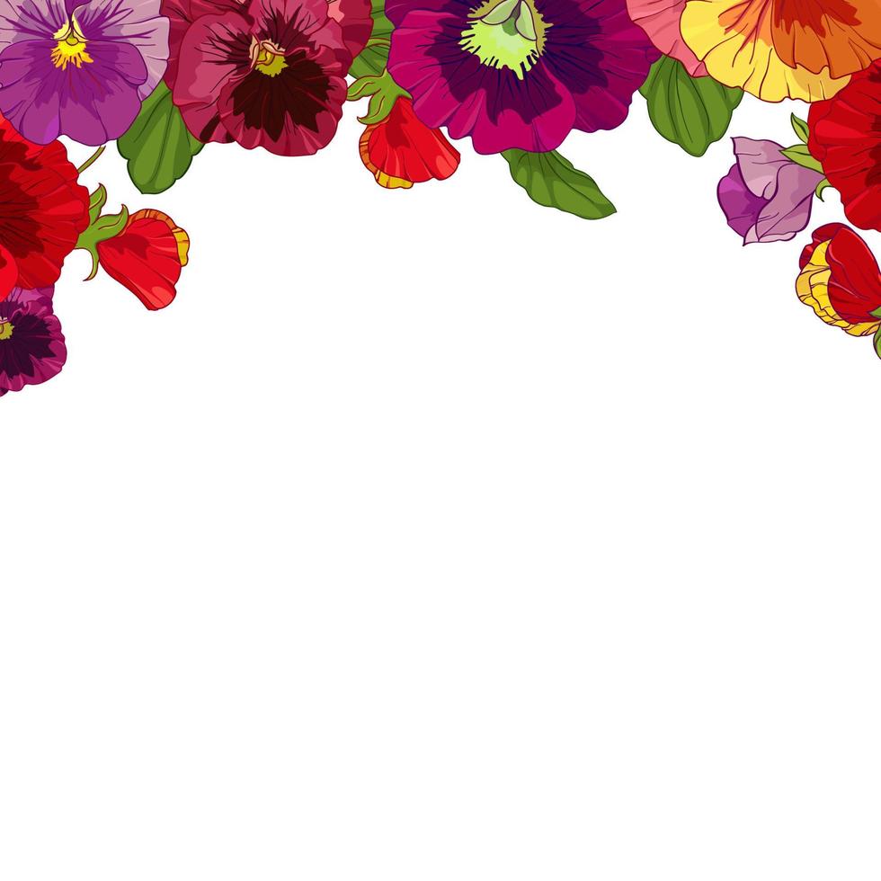 frame of bright colors of red pansies. Vector illustration for cards, greetings, holidays.