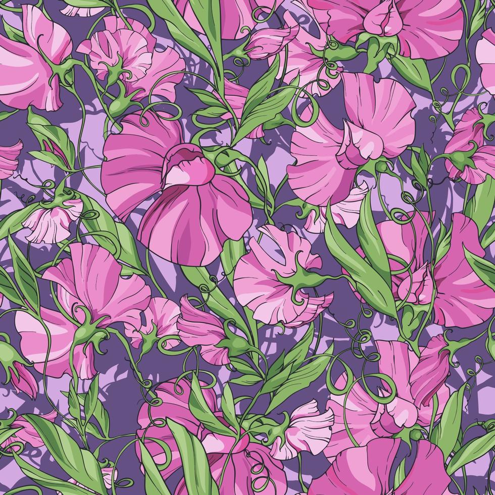 flores de color rosa guisante de olor sobre un fondo morado, patrón floral sin fisuras. patrón para tela, papel envolvente, diseño de paquetes, páginas web, invitaciones, tarjetas de felicitación. vector