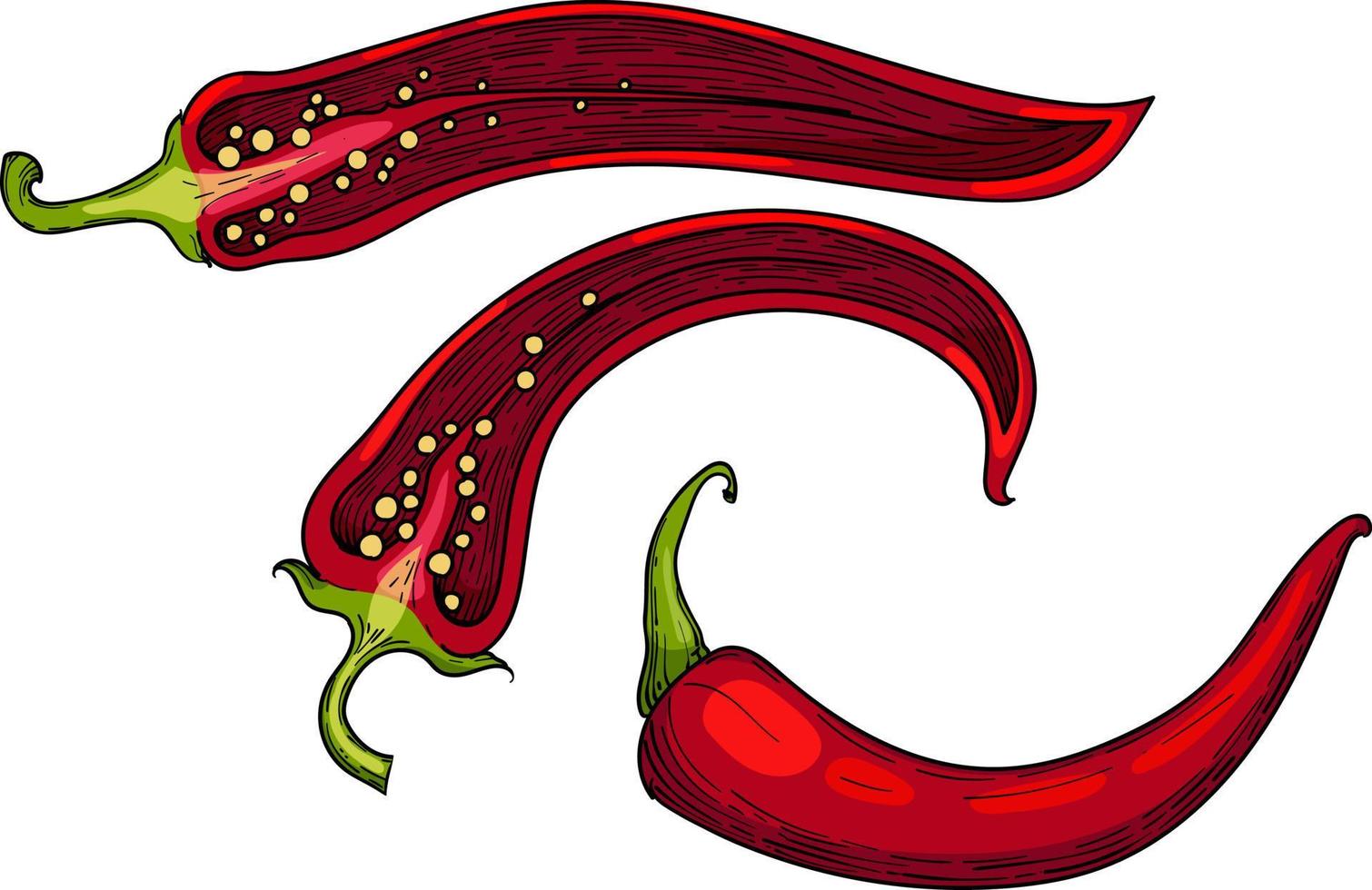 Half and whole pepper chilli , mexican food, spicy ripe red, half pod, top view vector