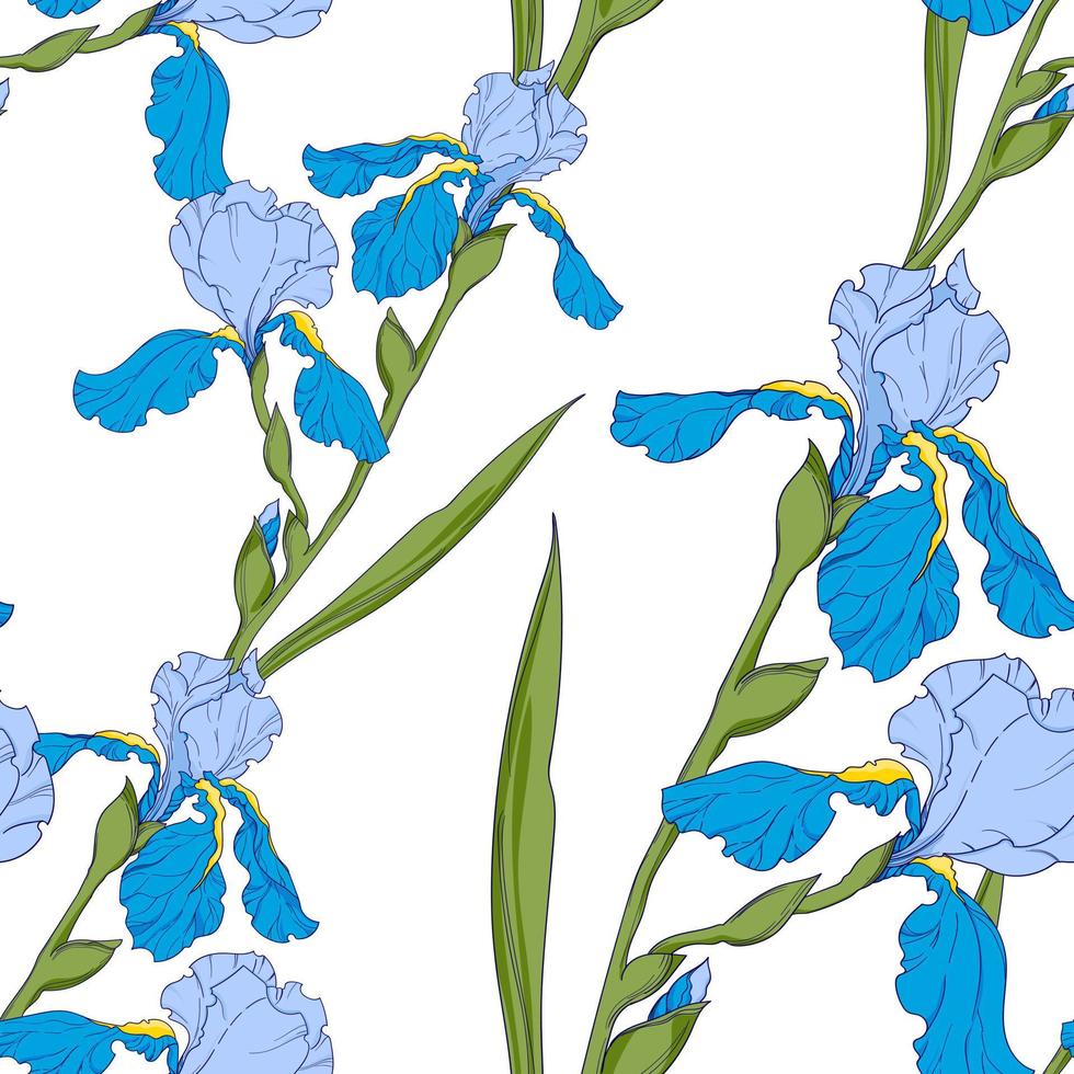 blue irises, branch with flowers, seamless vector pattern. Drawing flowers on a white background