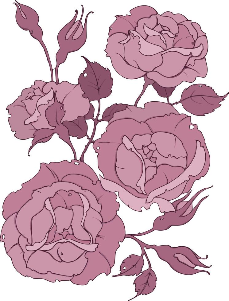 delicado ramo de rosas rosadas, rama con flores, hojas y capullos, ilustración vectorial para moda, textil, tela, decoración. vector