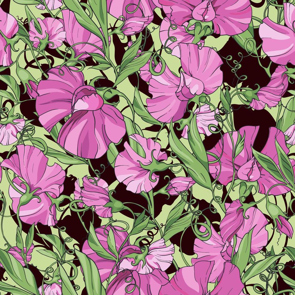 flores de color rosa guisante de olor, patrón floral sin fisuras. patrón para tela, papel envolvente, diseño de paquetes, páginas web, invitaciones, tarjetas de felicitación. vector