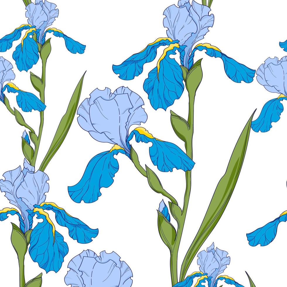 blue irises, branch with flowers, seamless vector pattern. Drawing flowers on a white background