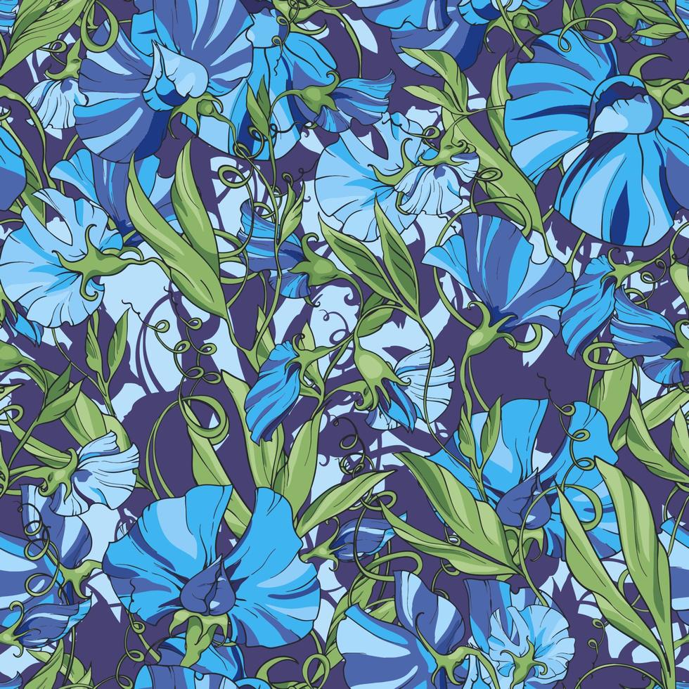 Blue flowers  sweet pea  on a blue purple background,  floral seamless pattern. Pattern for fabric, wrapping paper, web pages, invitations, greeting cards vector
