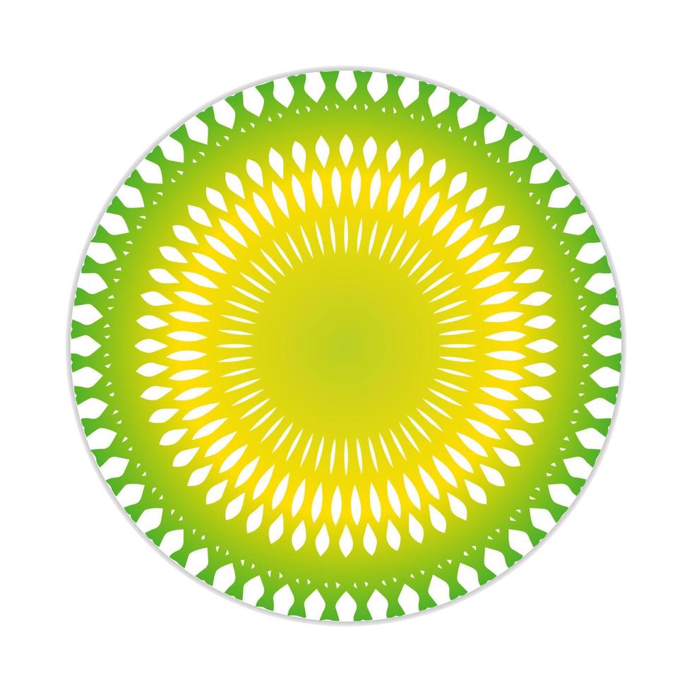 mandala design with abstract shape vector