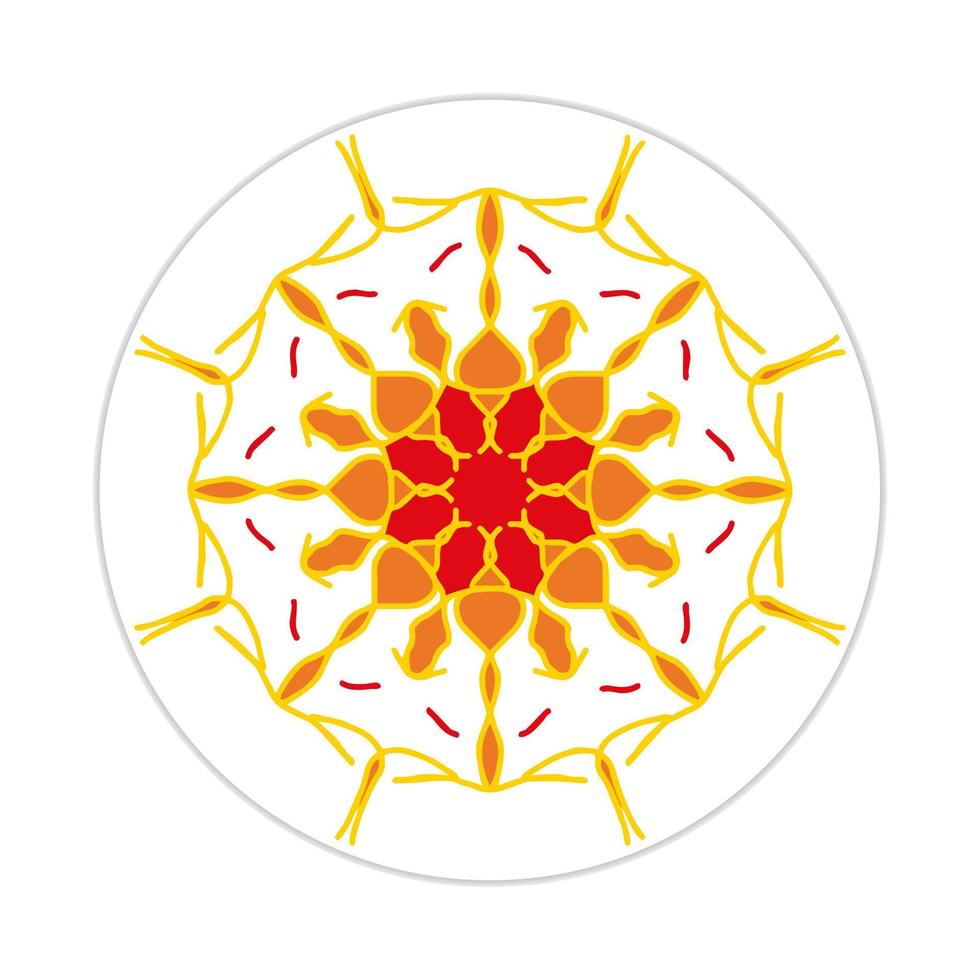 mandala design with abstract shape vector