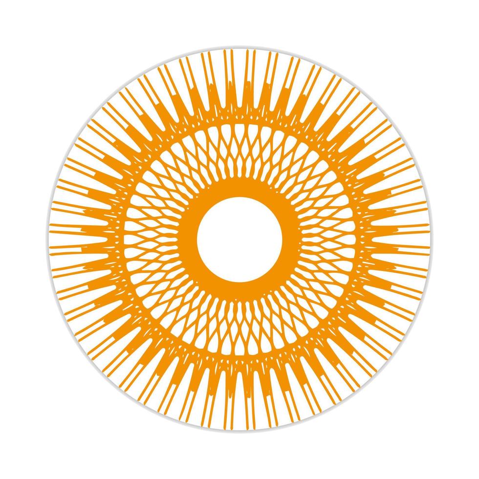 mandala design with abstract shape vector