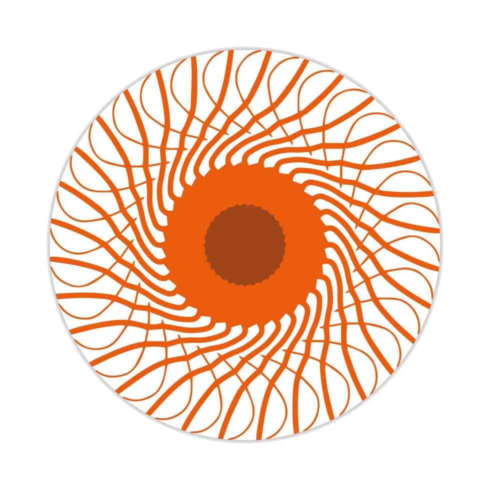 mandala design with abstract shape vector