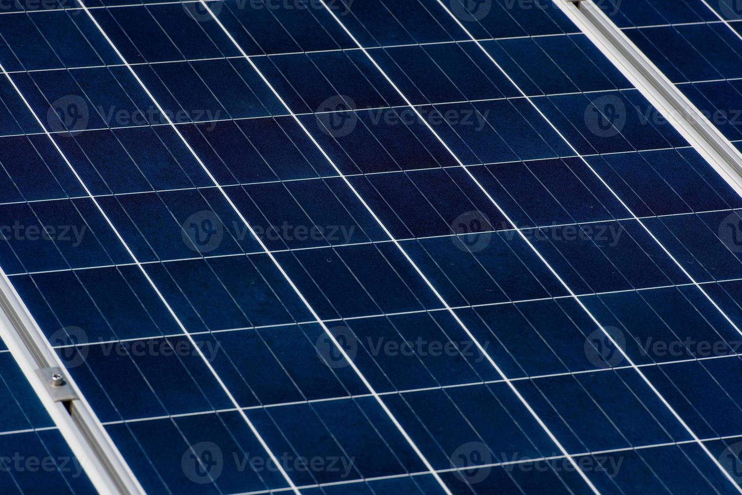 solar panels  plant photo