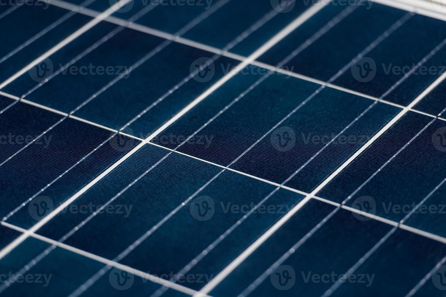 solar panels  plant photo