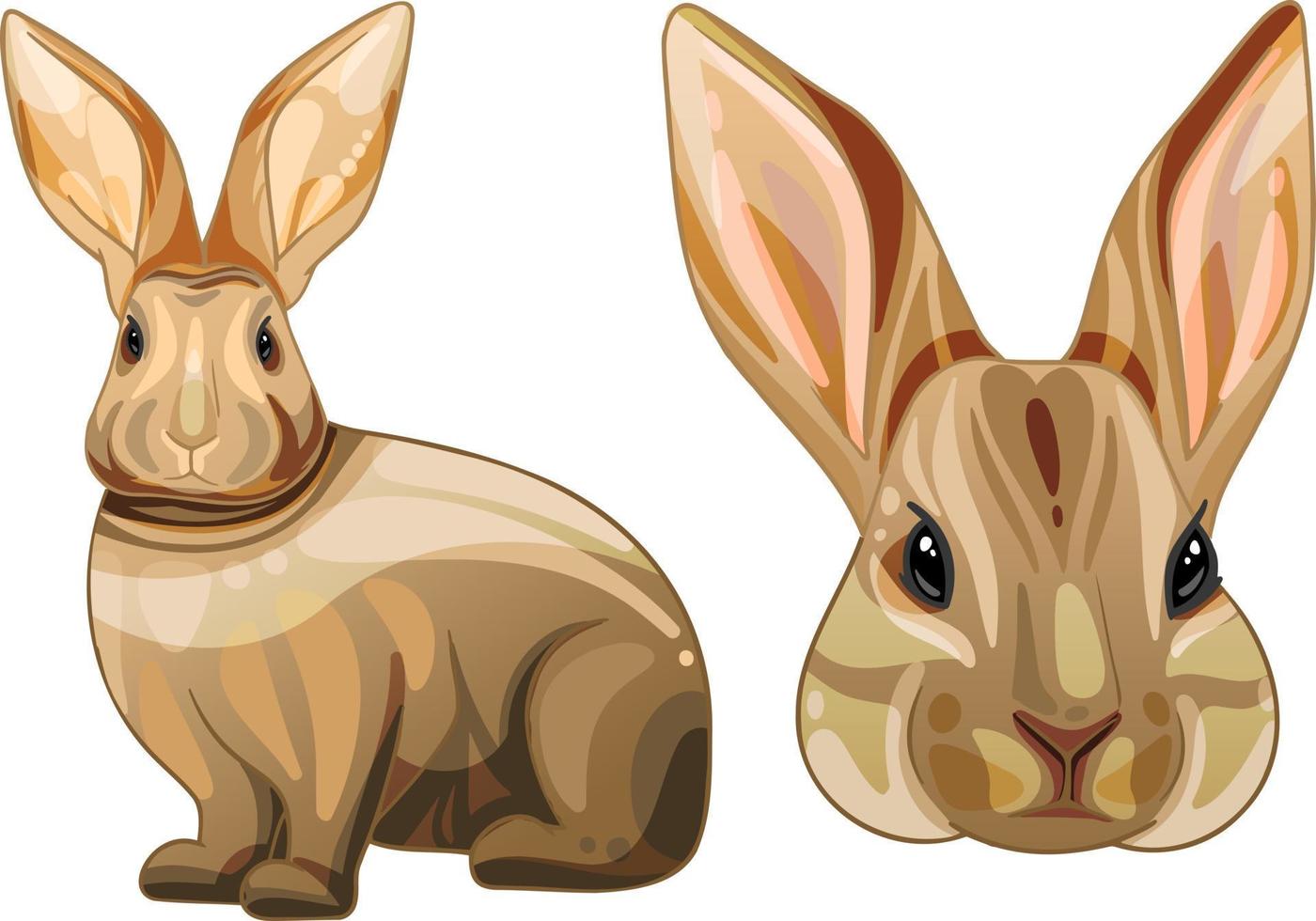 un conjunto de animales dibujados por dibujos animados. raza de conejo de crema de plata vector