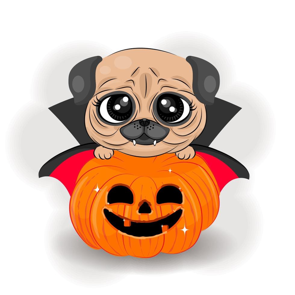 Halloween Cute Pug with a Pumpkin , textile print, vector illustration of T-shirt packaging