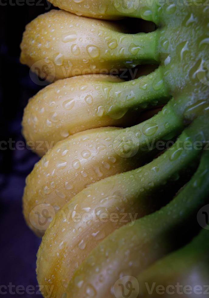 manojo de plátanos con gotas de agua en la cáscara. foto