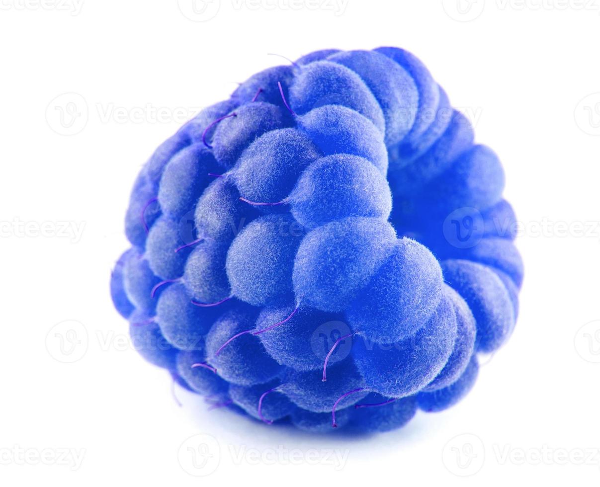 The blue raspberry berry is isolated on a white background. Full clipping path. photo