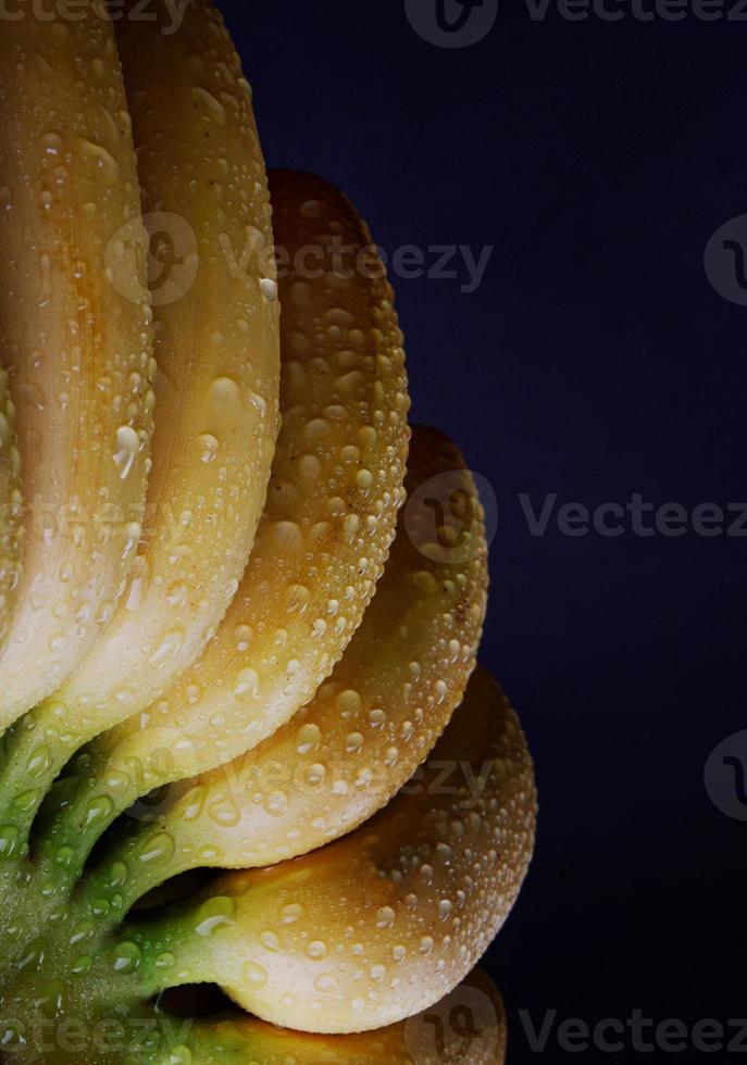 Beautiful bunch of ripe bananas with drops of water on the peel. photo