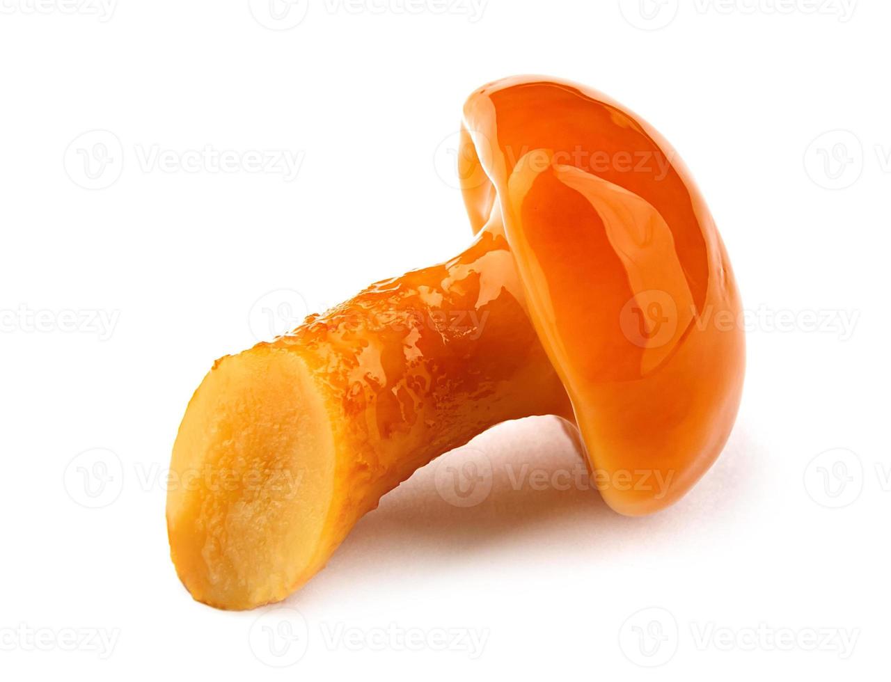 Tasty pickled mushroom are isolated on a white background. Pickled