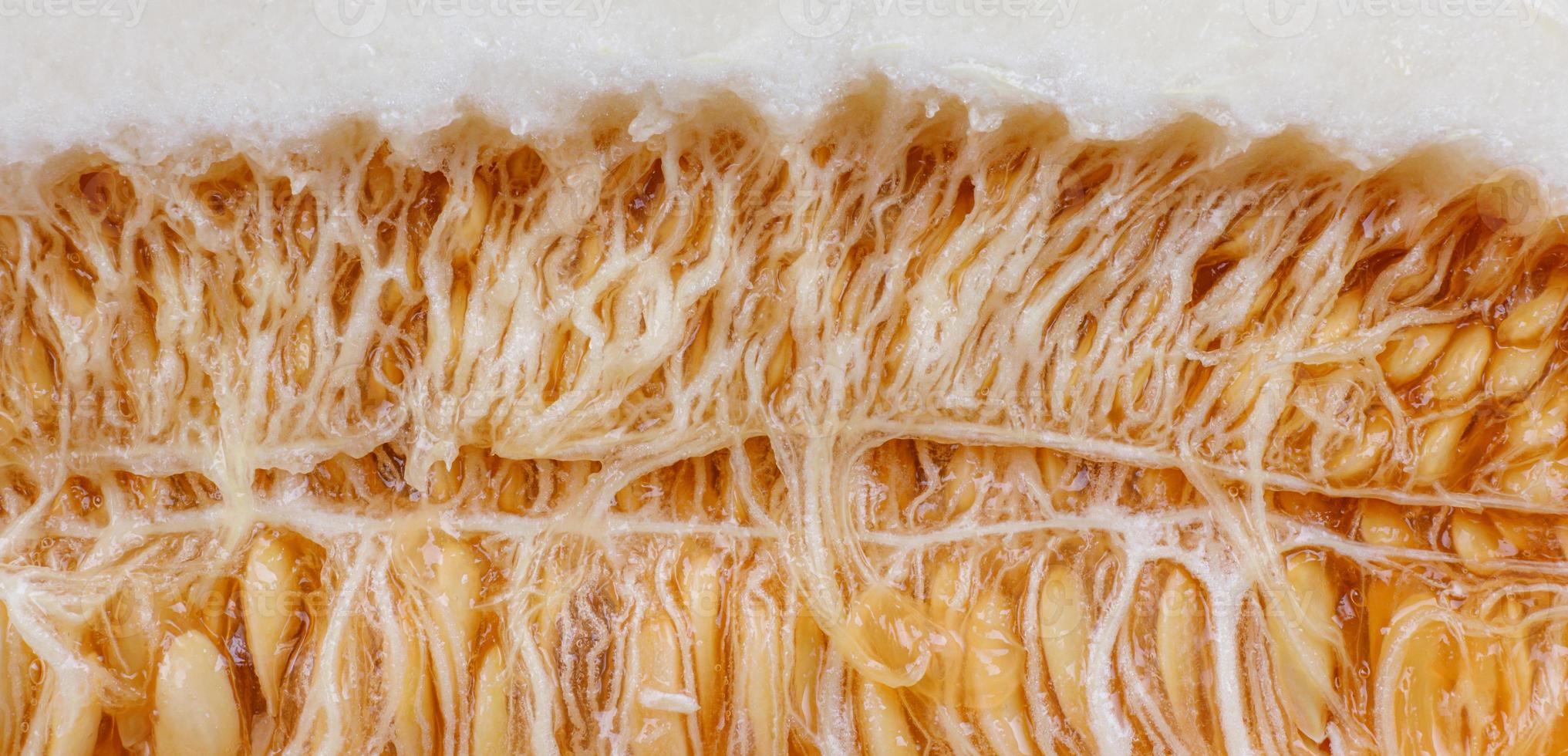 The inside of a ripe melon with seeds on a black background. photo