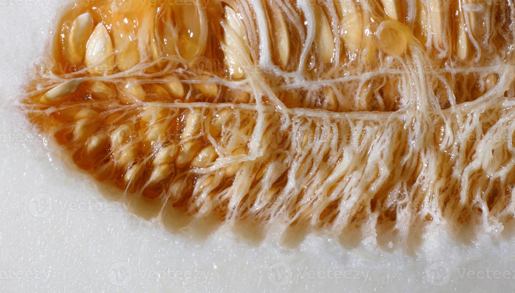 Cut melon. Seed inside a ripe melon. photo