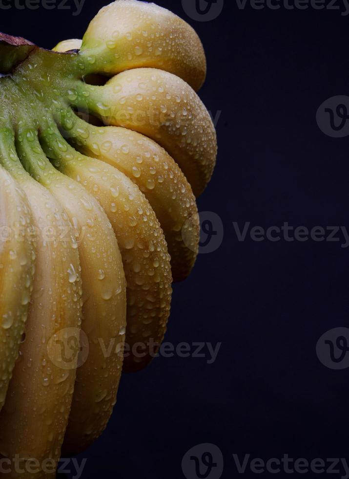 Beautiful bunch of ripe bananas with drops of water on the peel. photo