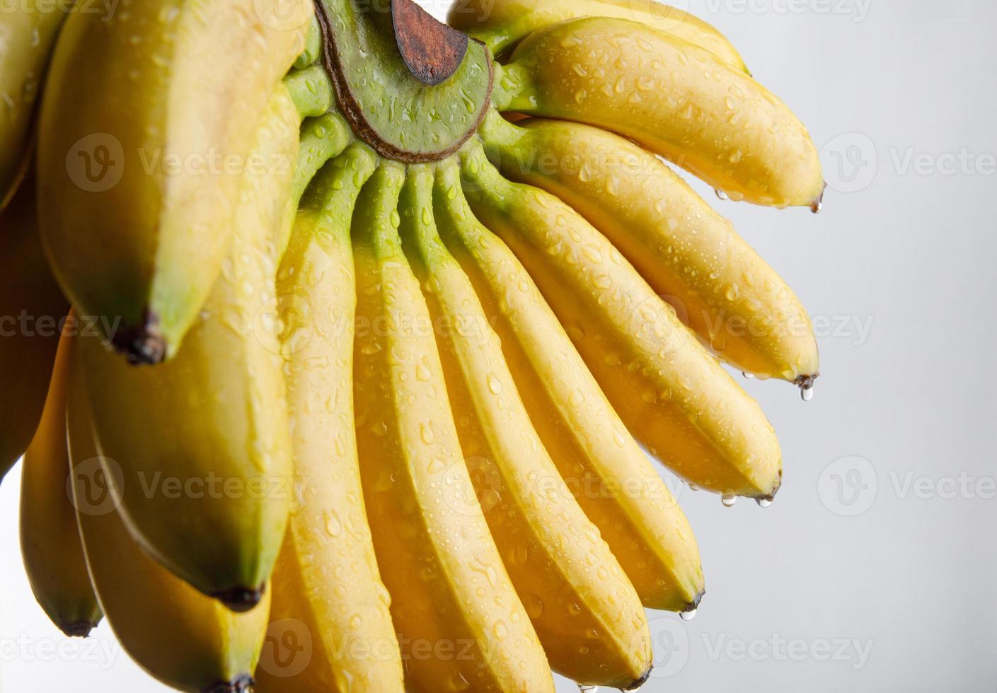 deliciosos plátanos maduros. racimo de plátanos. foto