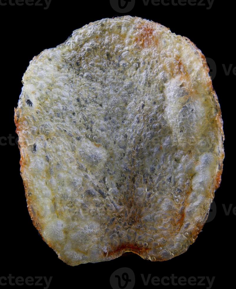 Crispy potato chips are isolated on a black background. photo