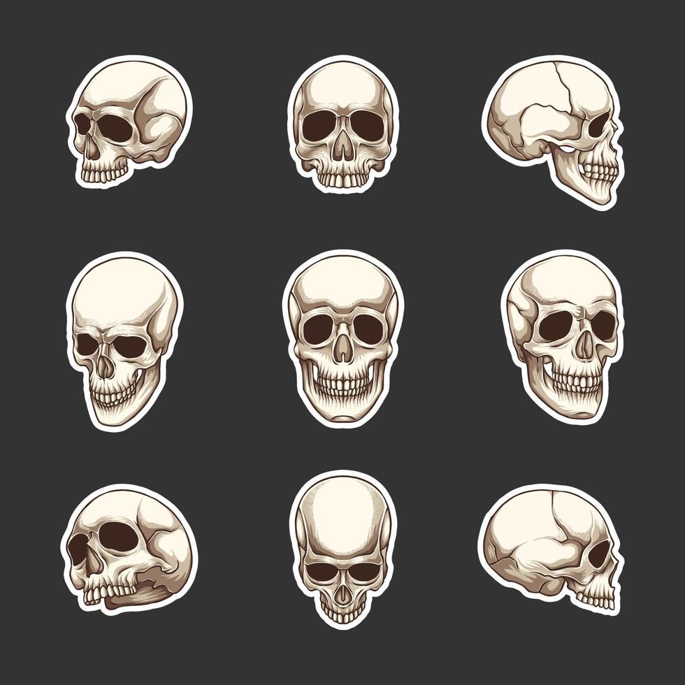 Realistic Skulls Sticker Set Theme vector