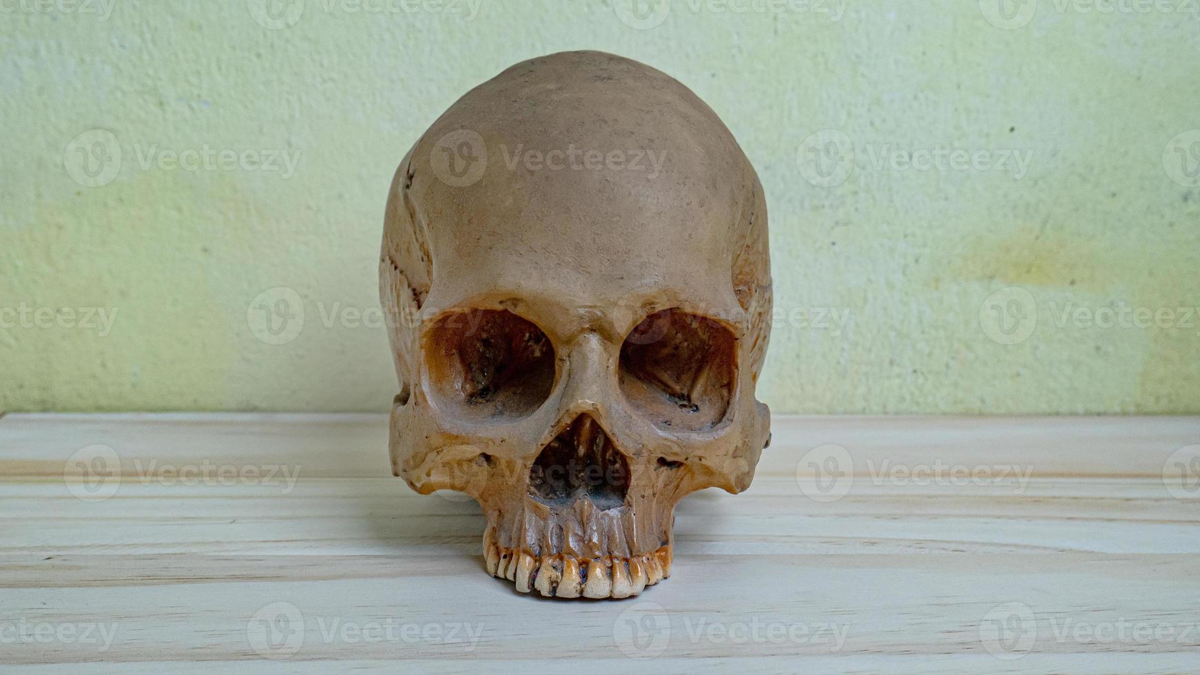 cráneo humano sobre una mesa de madera para ciencia o contenido médico. foto