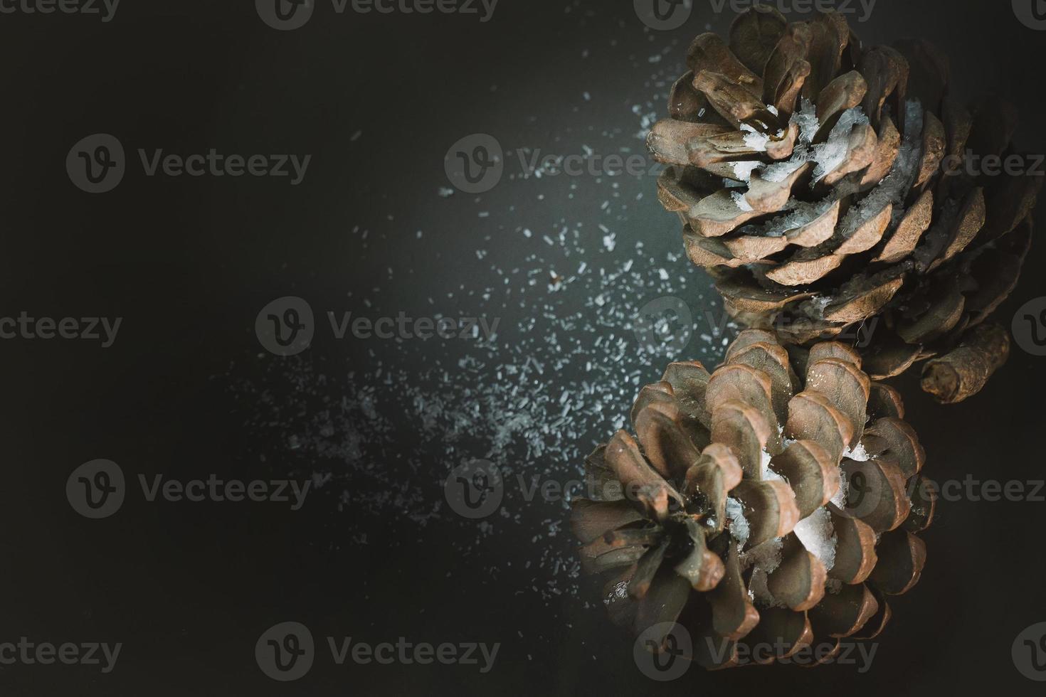 Pine cones on black image background. photo