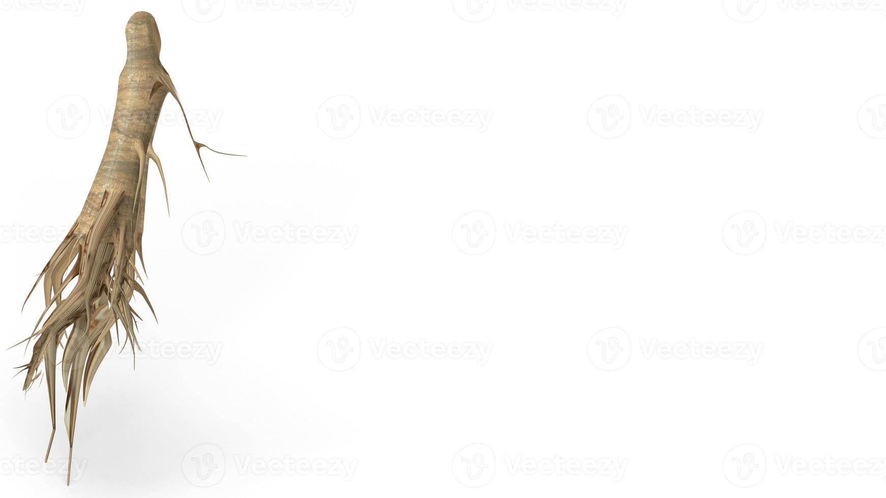 ginseng 3d rendering on white background for medical content. photo