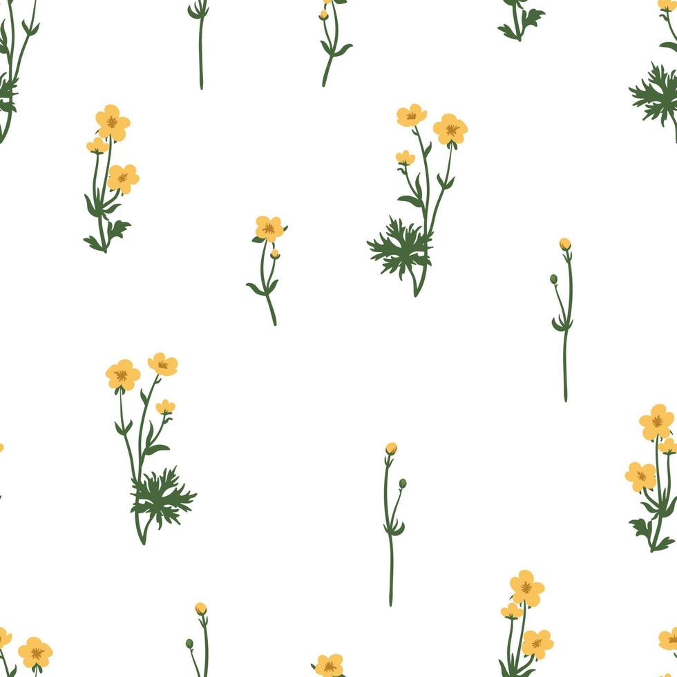 Buttercups vector seamless pattern. Summer yellow wildflowers floral background.