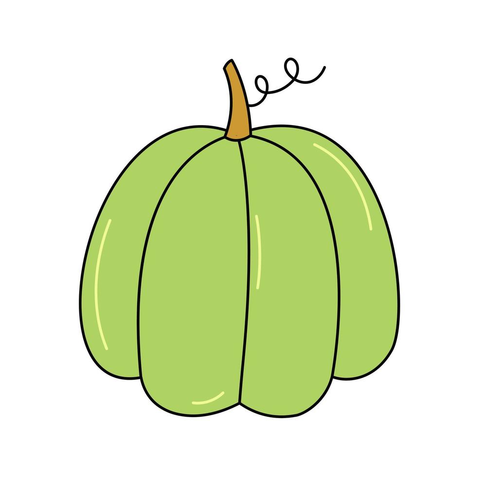 garabato calabaza verde aislado. vegetal de contorno coloreado. símbolo de la cosecha de otoño y halloween. ilustración vectorial de calabaza dibujada a mano vector