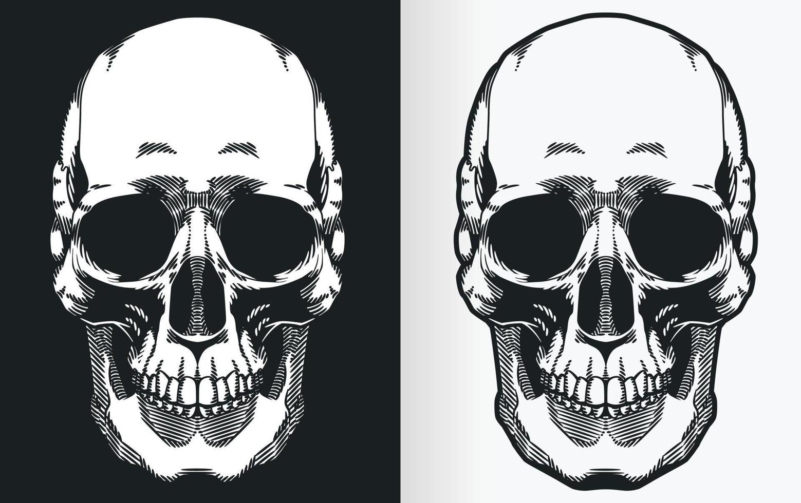 Vintage Human Skull Front View Silhouette vector