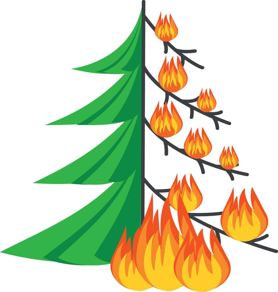 Forest fire, fir tree on fire, natural disaster, caution with fires in the forest. Icon vector